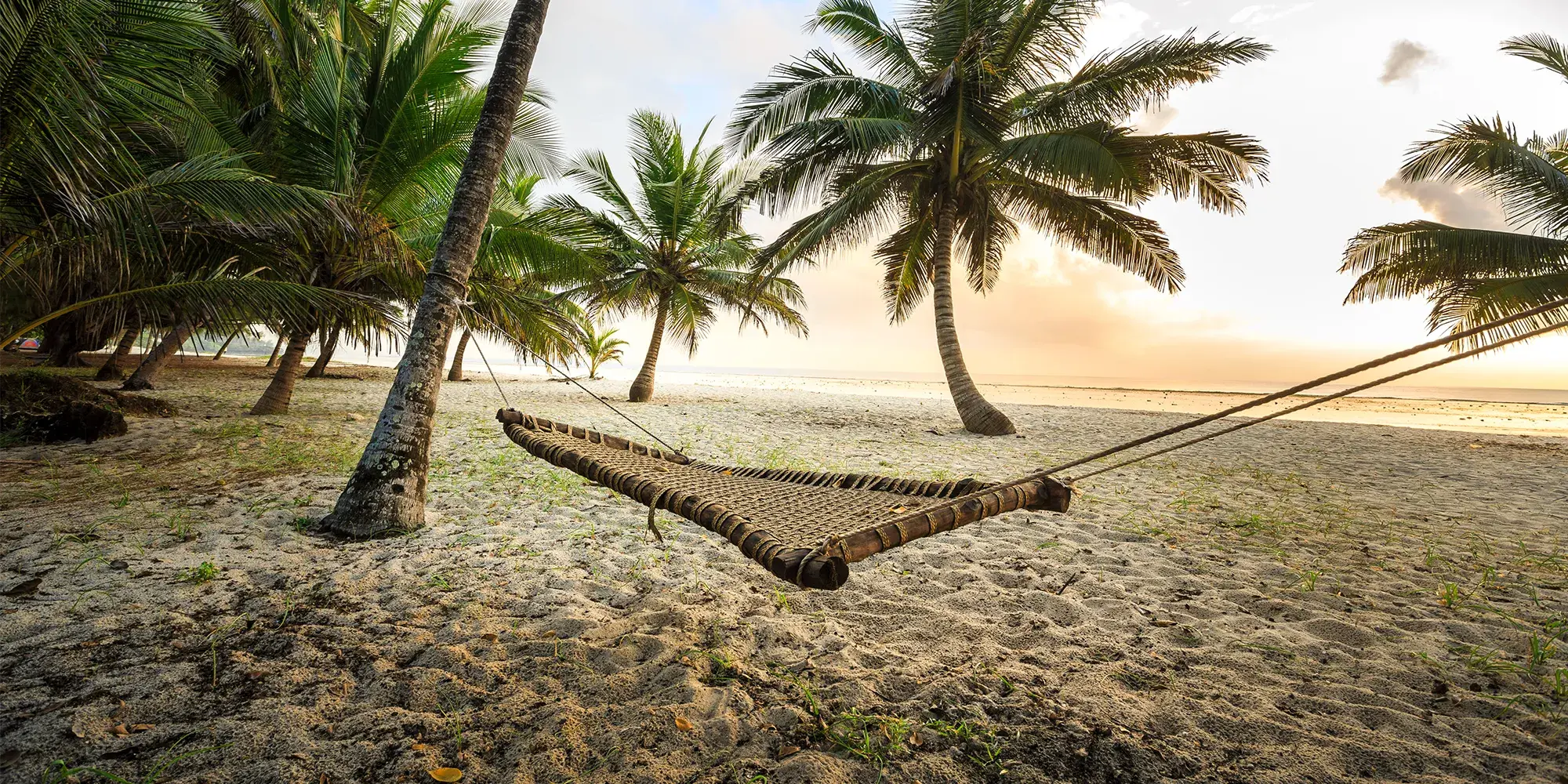 Banner showing the urban landscape of Almaty, Kazakhstan