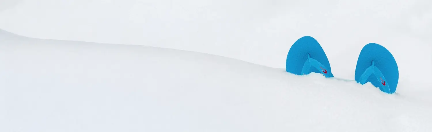 Banner showing a tropical beach in the Dominican Republic